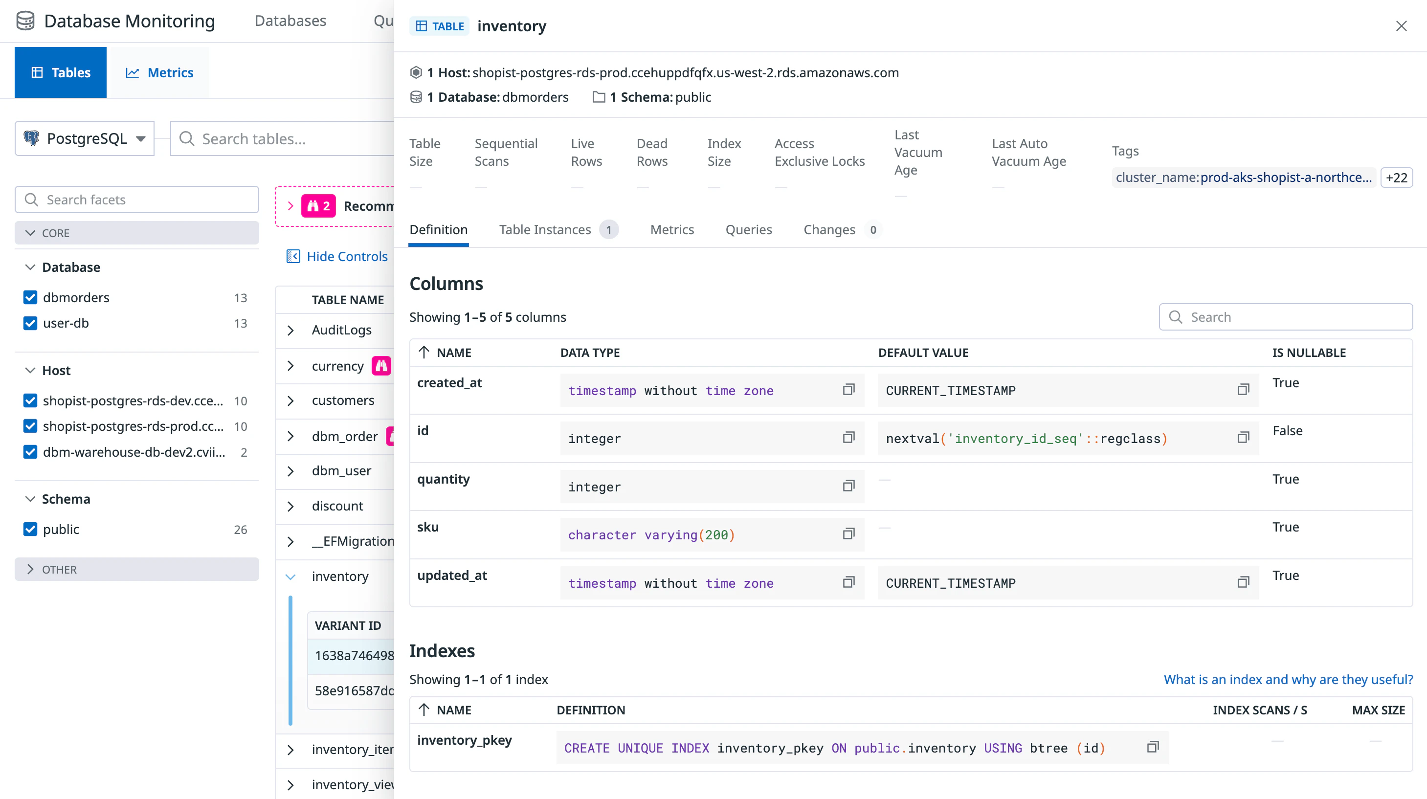 Empty Variant Panel Exploring Database Schemas