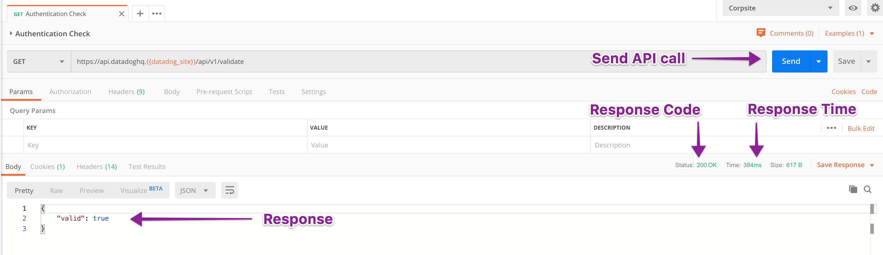 Using Postman with Datadog APIs